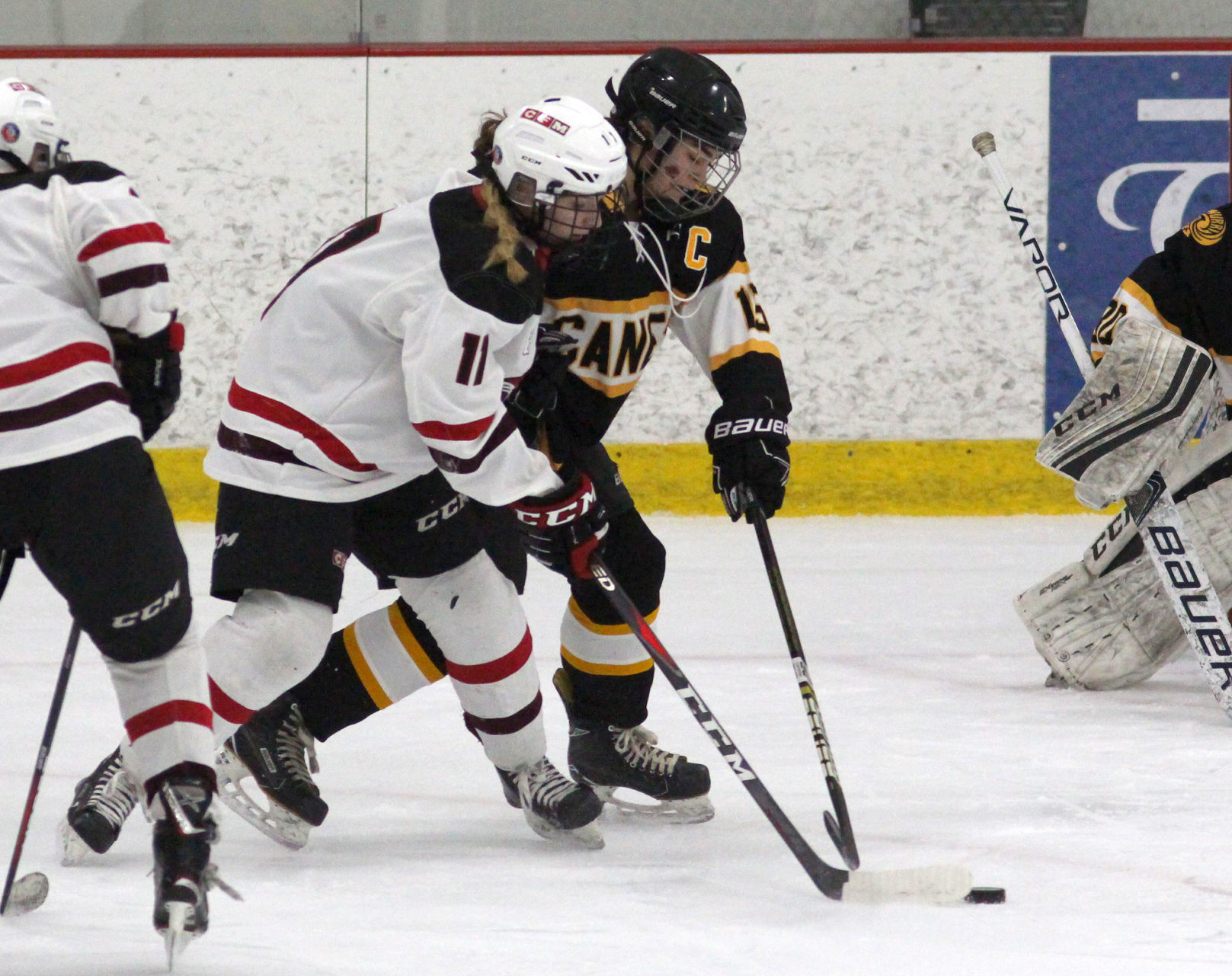 Hayward at Chippewa Falls/Menomonie girls hockey 2-20-20